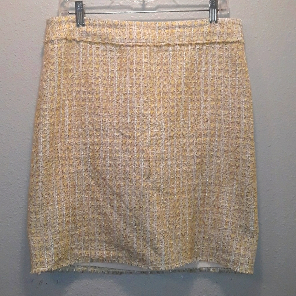 Ann Taylor skirt